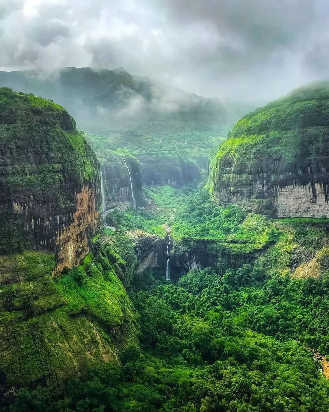 वृक्षवल्ली आम्हा सोयरे वनचरे 